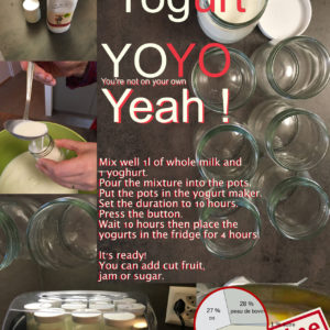 Ay Yo Yogurt YOYO Yeah!