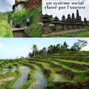 Bali, une démocratie traditionnelle, un système social classé par l’unesco