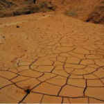 ¿Qué podemos hacer para proteger el agua?