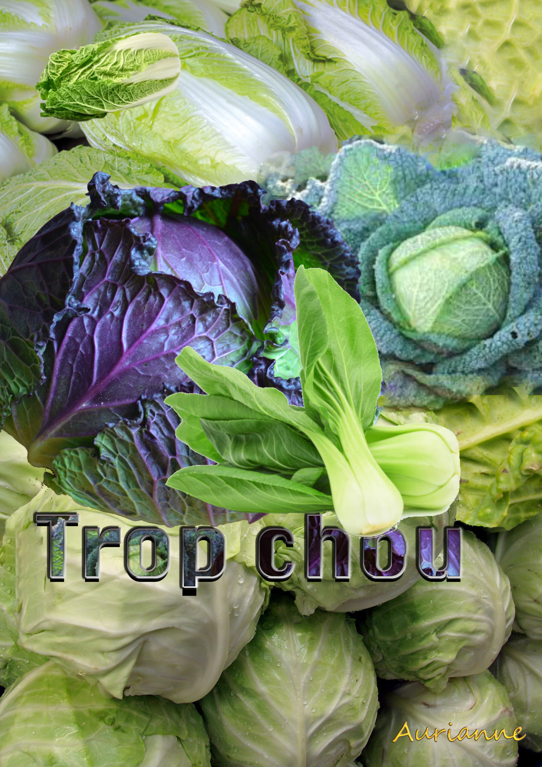 Trop chou – Rezept für Kohl